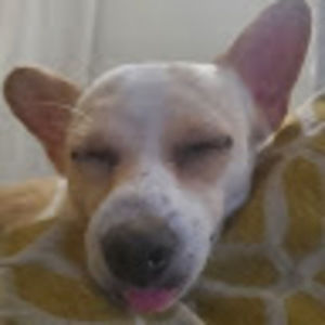 Meet your Posher, Joseph